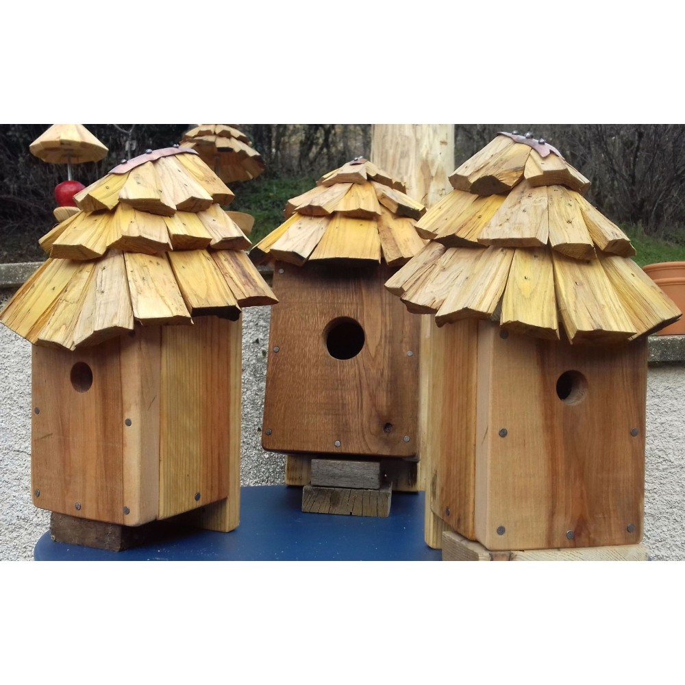 Maison d'oiseaux pour l'extérieur, nichoirs en bois pour